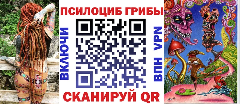 где купить наркоту Шахты Псилоцибиновые грибы Cubensis